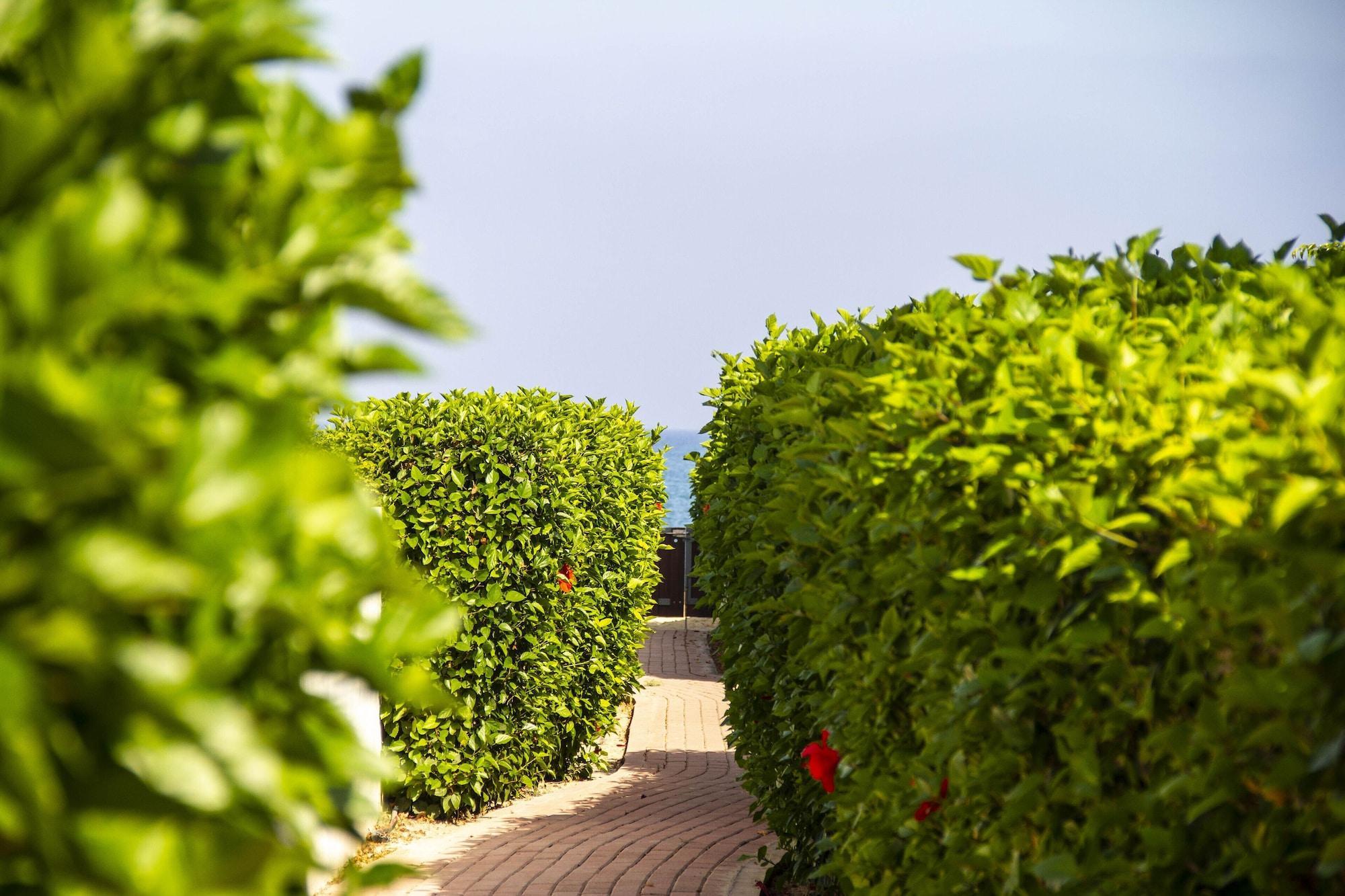 Atlantis Gardens Resort Mazotos Exterior photo